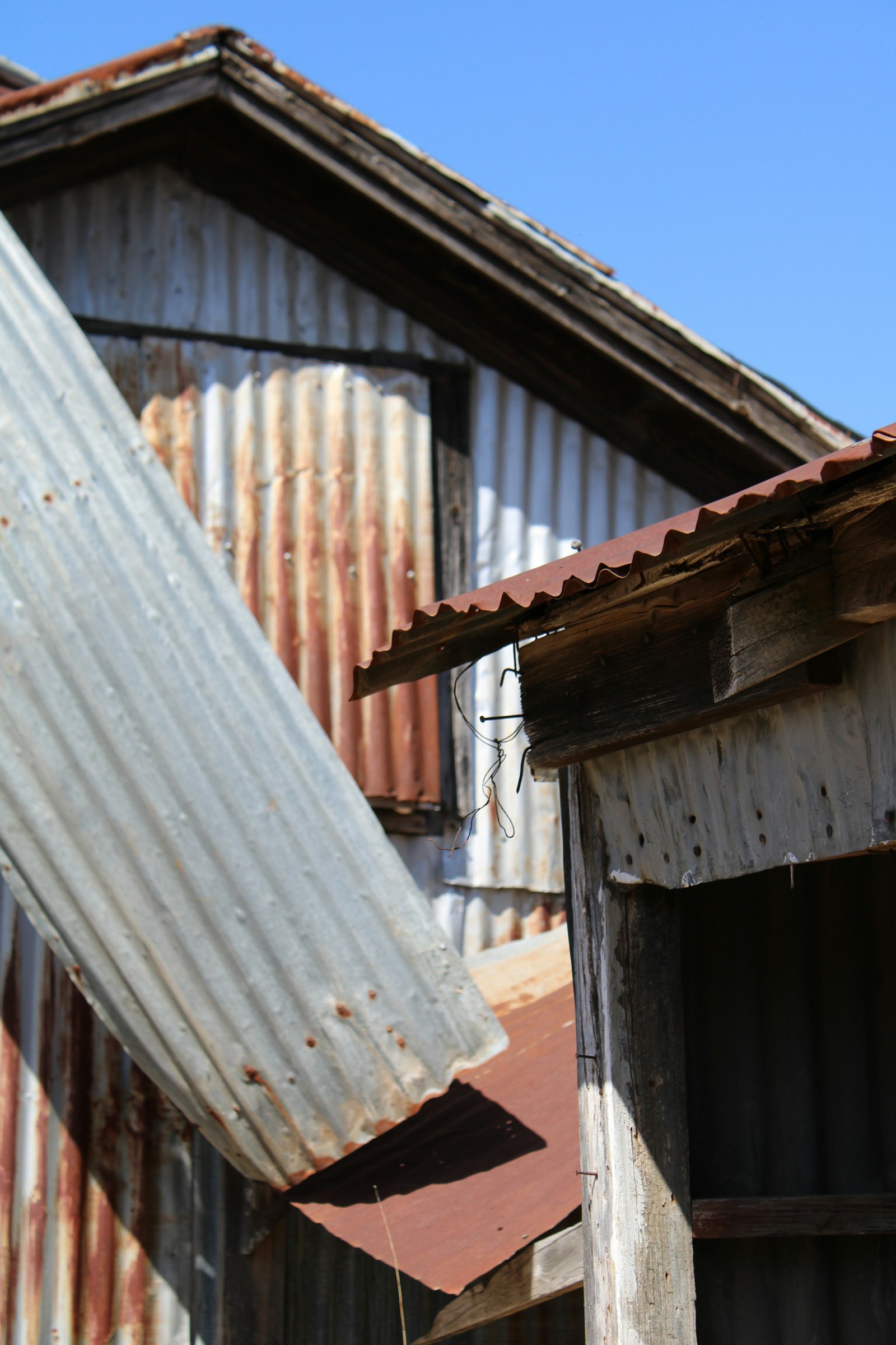 Weathered corrugated metal roofing on an agricultural building near Vanceburg, KY