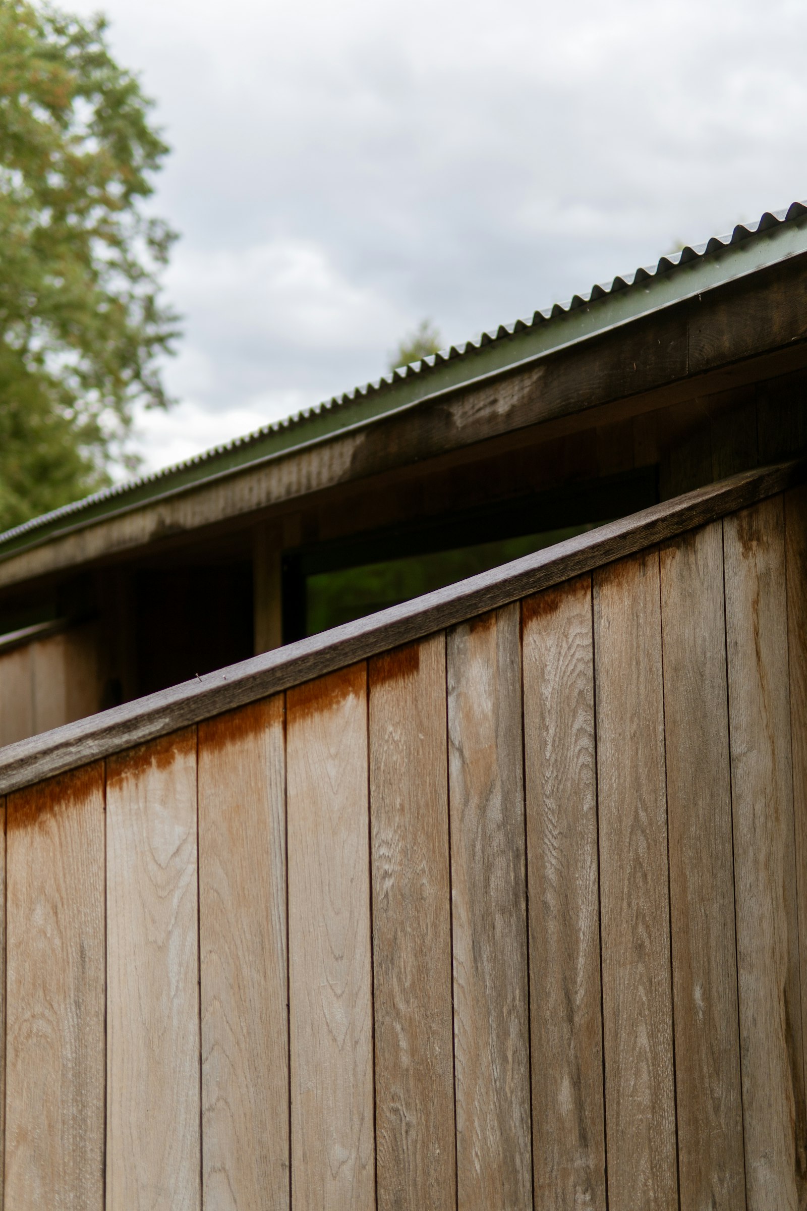 Corrugated metal roof and siding on a rural building in Lewis County, Kentucky